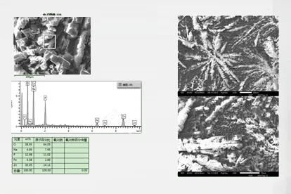 Elektron mikroskopi fotoğrafı