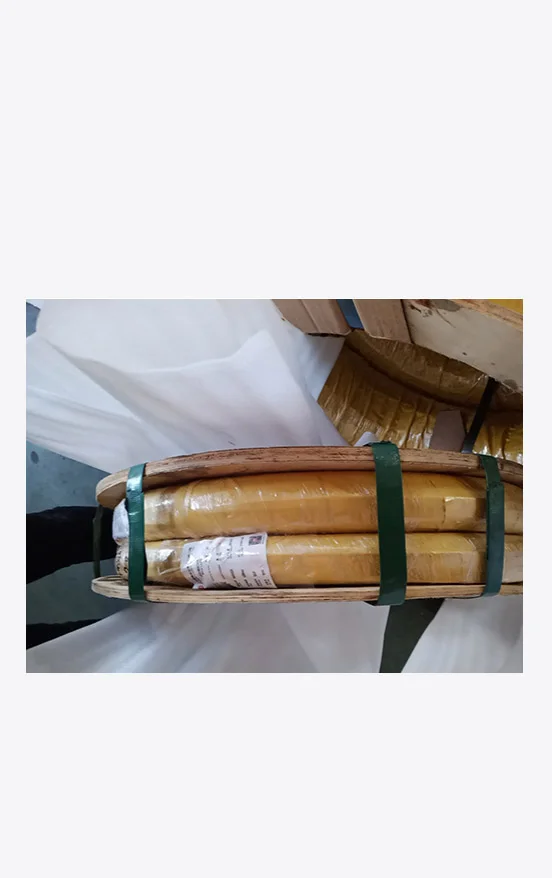 Ürün koruma ayrıntıları